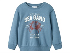 Name It sweatshirt spring lake with crab motif  